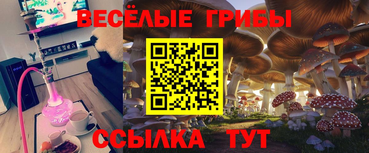 Галлюциногенные грибы GOLDEN TEACHER  сколько стоит  Аша  Вход с VPN  Галлюциногенные грибы Psilocybe 